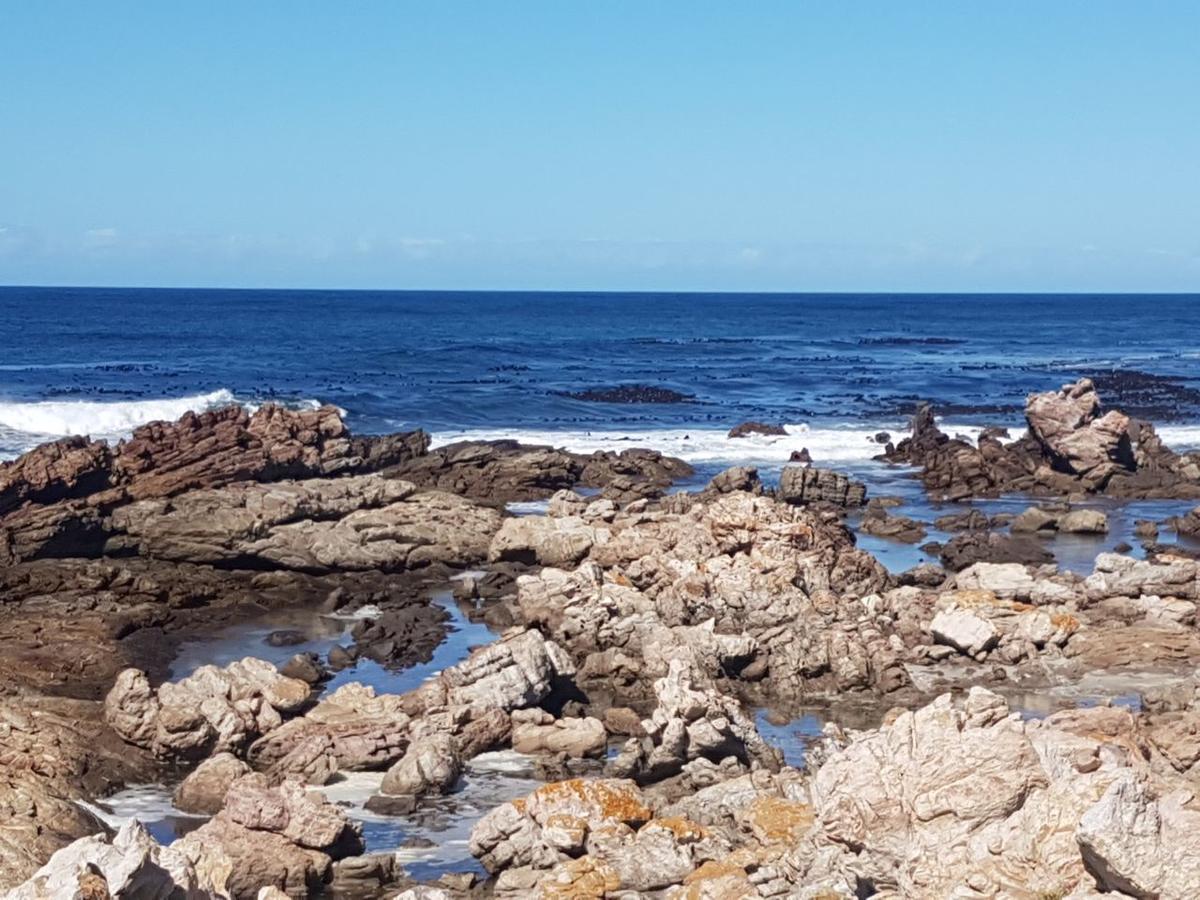 Corban Cottage Hermanus Exterior foto